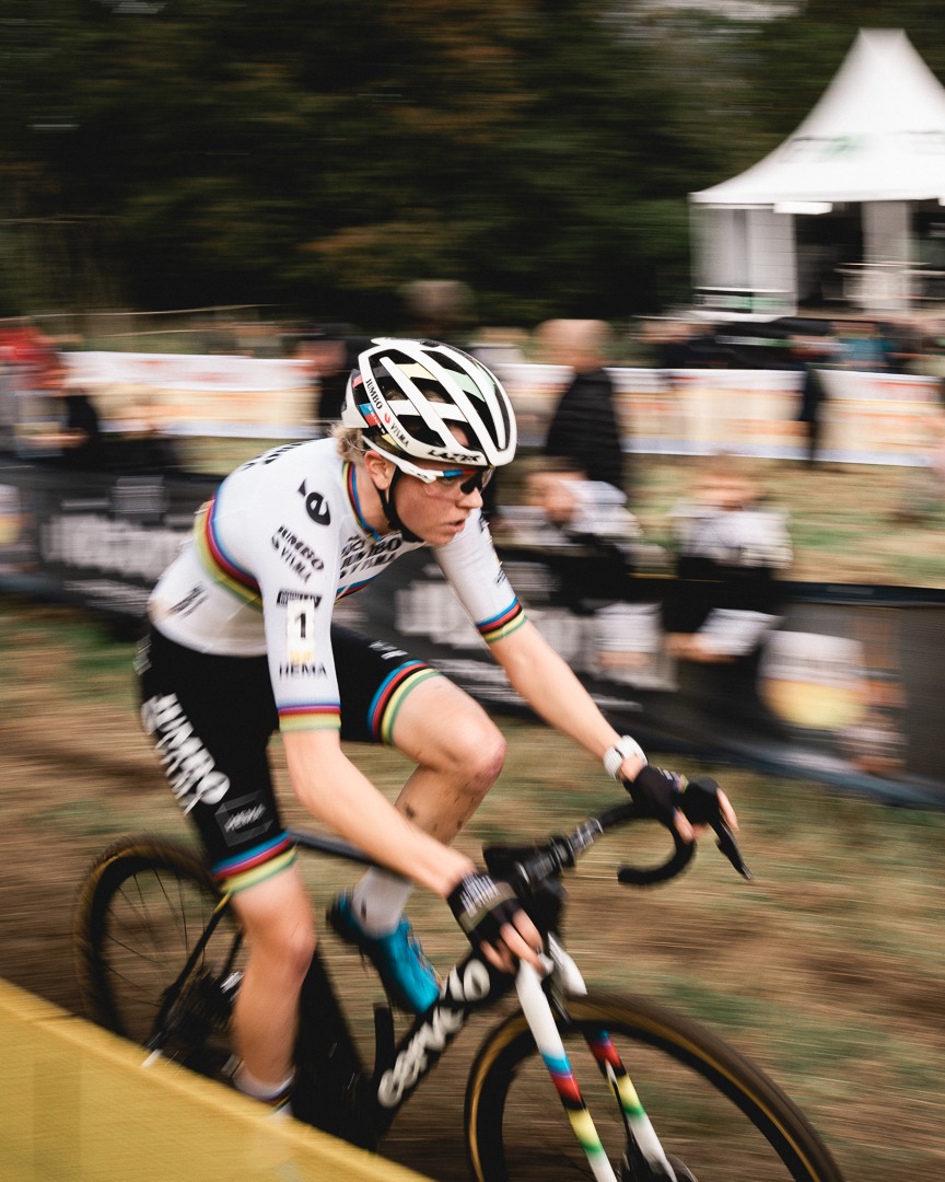 Lion of Roubaix tweet media