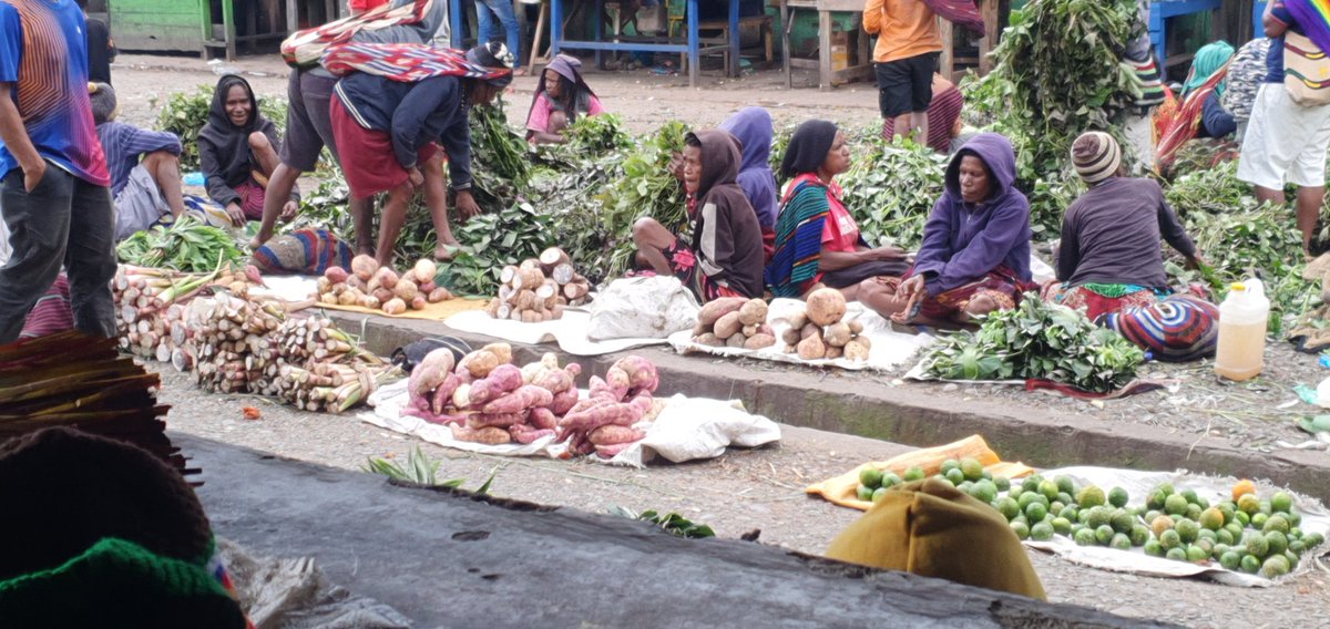 Mulalt_'s tweet photo. Tanpa pupuk pangan lokal di wamena penuh proten, selain sayur, kol,wortel, keladi  dan 17 jenis umbi²an (Petatas).

Diwamena ubi yg tidak ada rasa yg sering jual di jakarta dijadikan makanan babi.

Salam kami dari wamena @rahung
@Dandhy_Laksono https://t.co/4qKp8Vdgsk