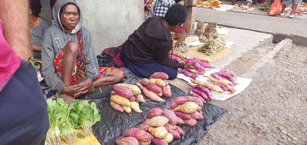Mulalt_'s tweet photo. Tanpa pupuk pangan lokal di wamena penuh proten, selain sayur, kol,wortel, keladi  dan 17 jenis umbi²an (Petatas).

Diwamena ubi yg tidak ada rasa yg sering jual di jakarta dijadikan makanan babi.

Salam kami dari wamena @rahung
@Dandhy_Laksono https://t.co/4qKp8Vdgsk