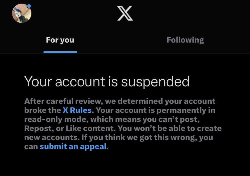 fvckerychi's tweet photo. I lost my account of 3k+ yesterday, this is my new account, you can give me a follow thank you😭 https://t.co/ZlhAXzBERS