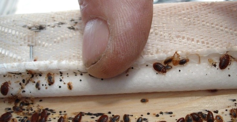 @تنظيف خزانات غسيل شقق بالمدينة المنوره 0538779044 (@c4vjibop9auzvkm) on Twitter photo 