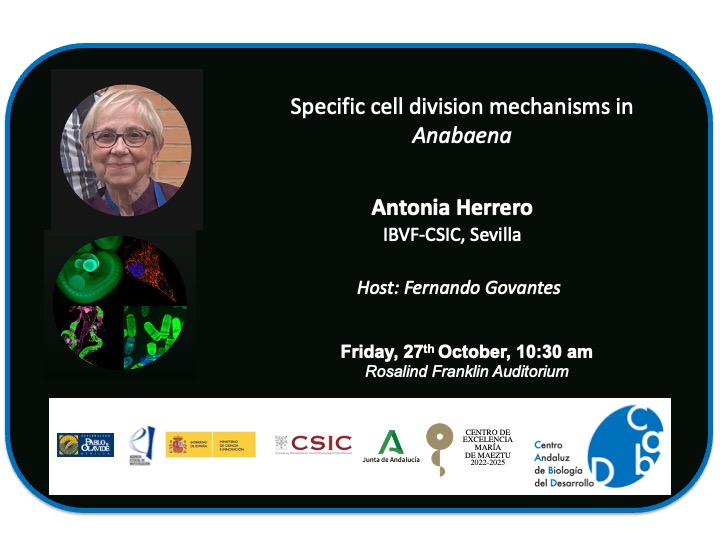 Centro Andaluz de Biología del Desarrollo (@cabd_upo_csic) on Twitter photo #CABDseminars
"Specific cell division mechanisms in Anabaena", Antonia Herrero <a href="/IBVF_Sevilla/">IBVF</a> <a href="/cicCartuja/">cicCartuja</a>
🗓️October 27th
⏰ 10:30 am
📍Rosalind Franklin Auditorium at #CABD
Hosted by <a href="/Parazelso/">Fernando Govantes</a> <a href="/LifeSwitchCABD/">Govantes Lab</a> #CABDseminars
"Specific cell division mechanisms in Anabaena", Antonia Herrero <a href="/IBVF_Sevilla/">IBVF</a> <a href="/cicCartuja/">cicCartuja</a>
🗓️October 27th
⏰ 10:30 am
📍Rosalind Franklin Auditorium at #CABD
Hosted by <a href="/Parazelso/">Fernando Govantes</a> <a href="/LifeSwitchCABD/">Govantes Lab</a>