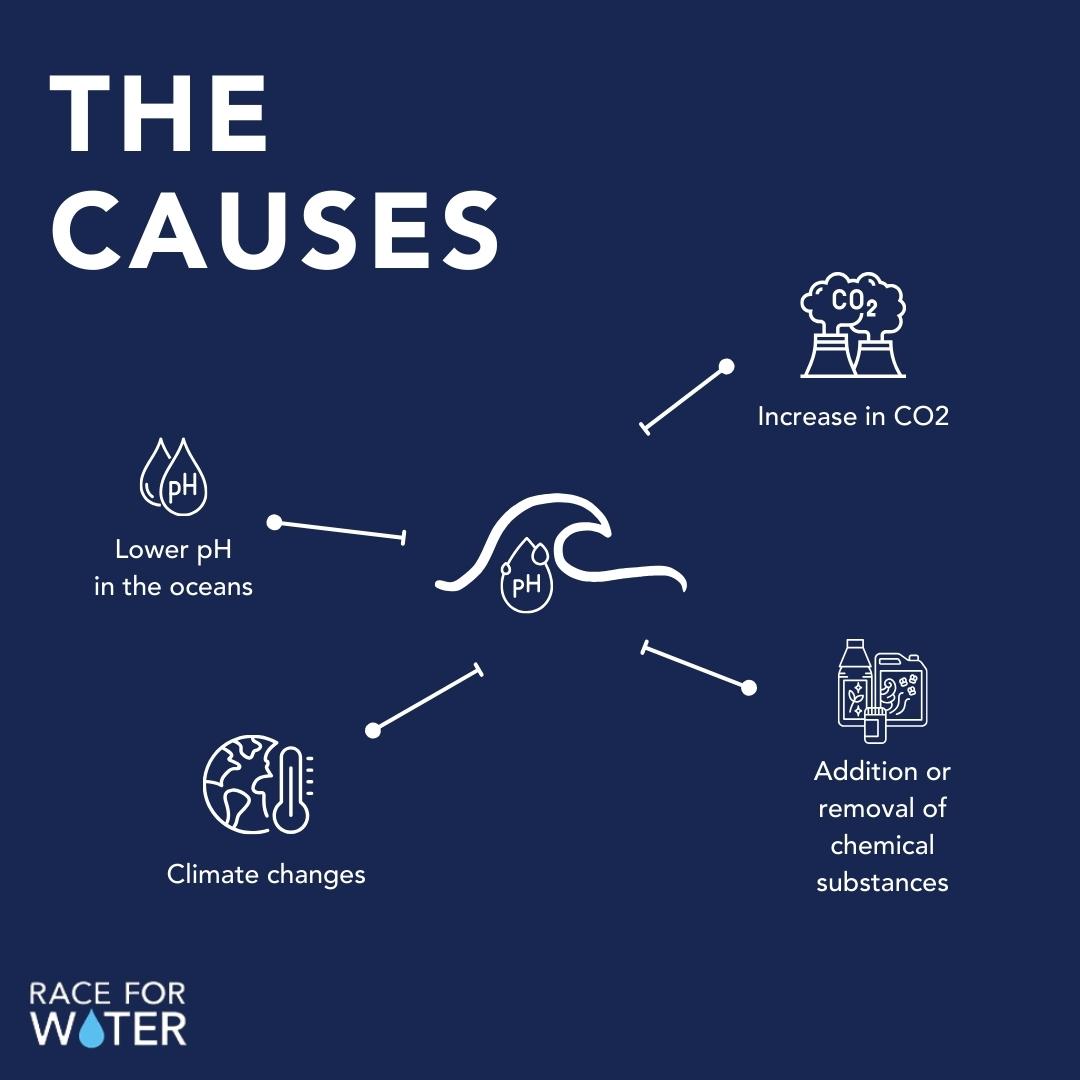 Race for Water tweet media