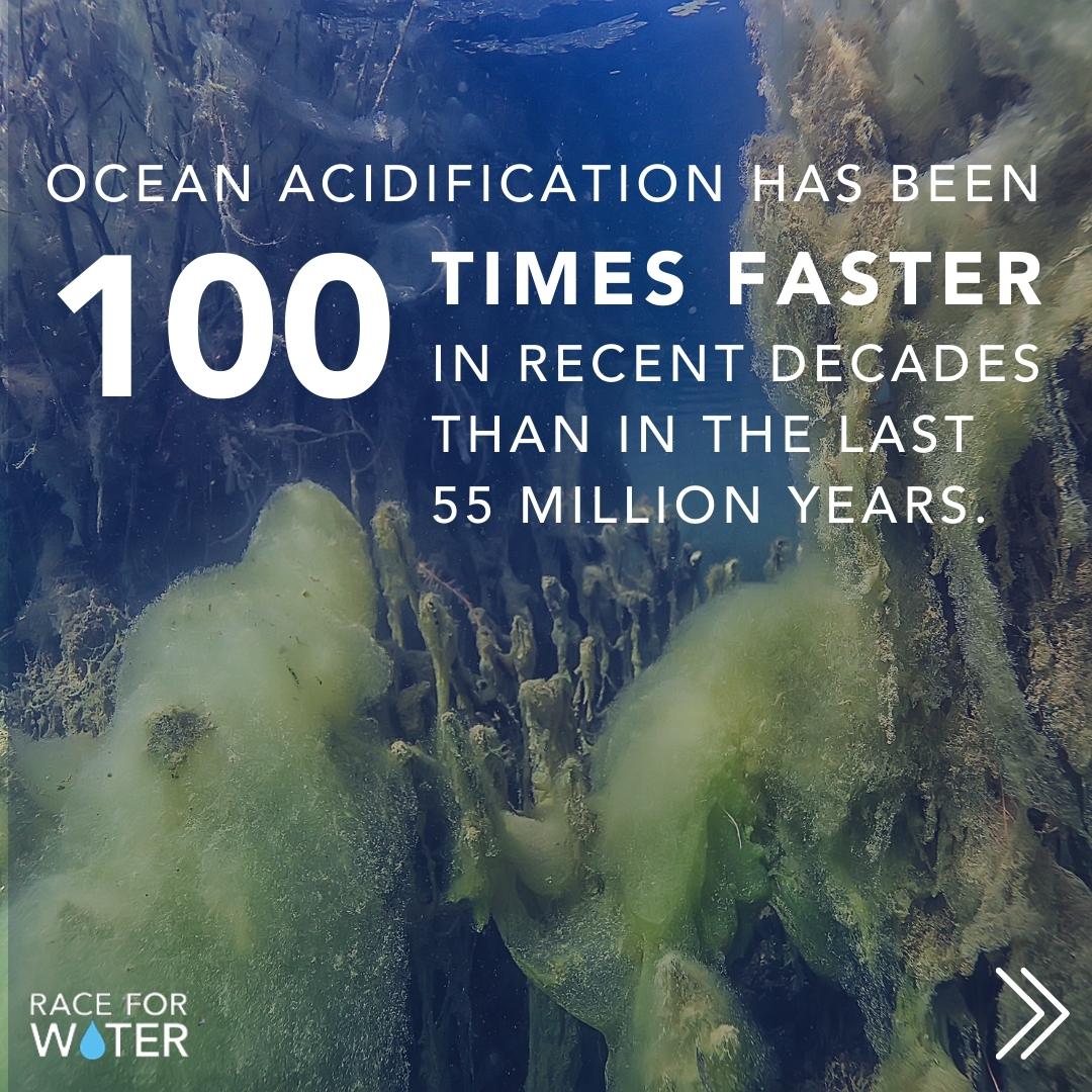 Race for Water tweet media