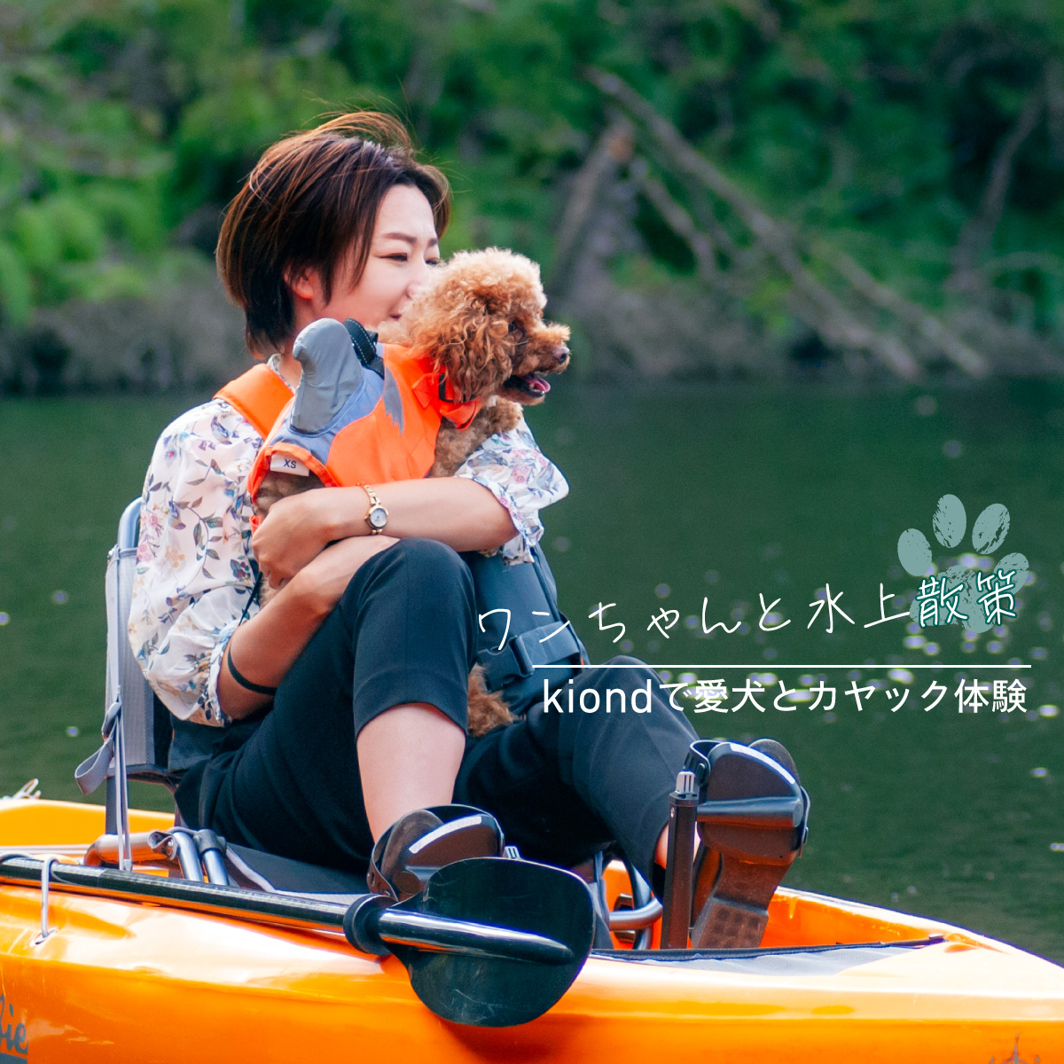 VISON公式 tweet media