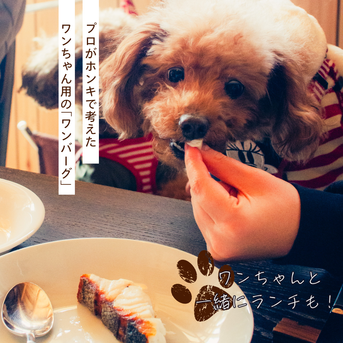 VISON公式 tweet media
