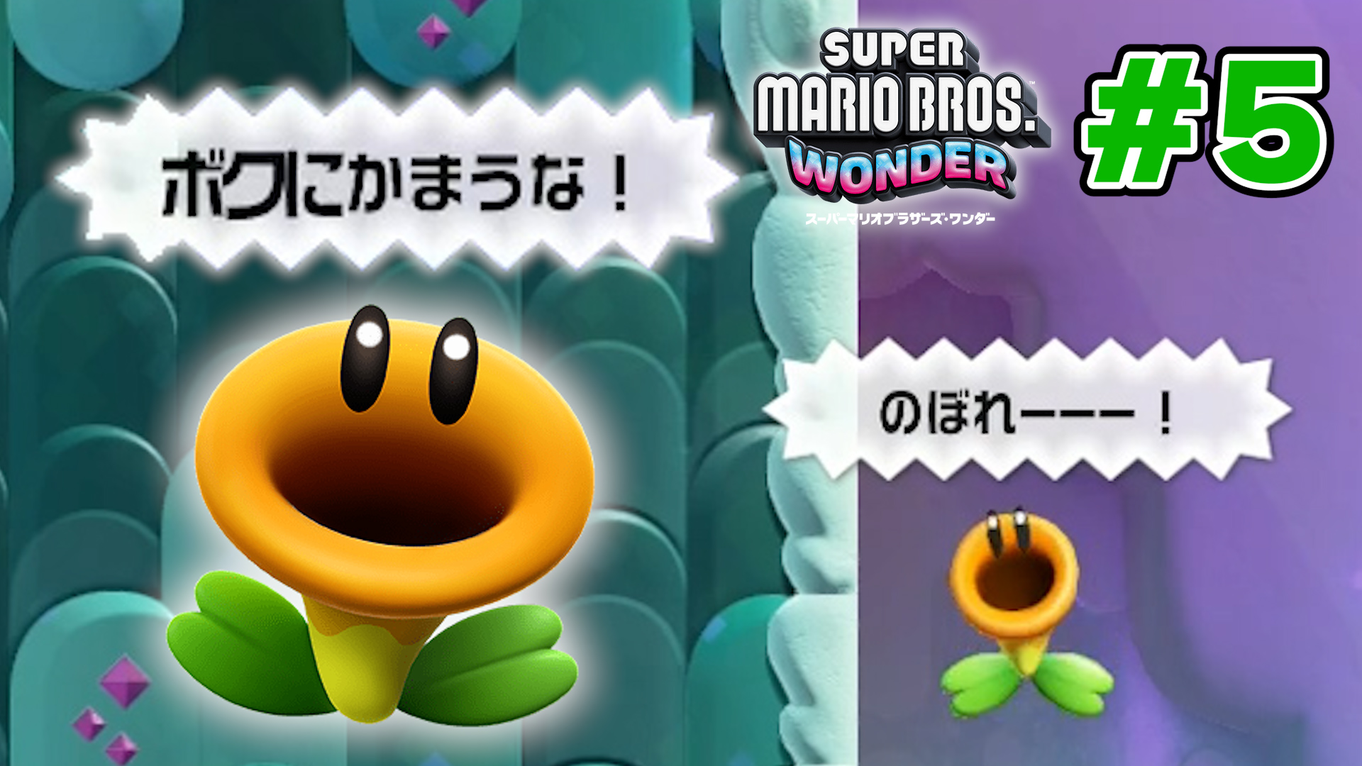 ならしの様 リクエスト 2点 まとめ商品 マリオワンダー、スマブラSP