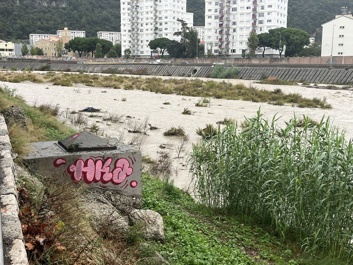 Bernard THOMAS tweet media