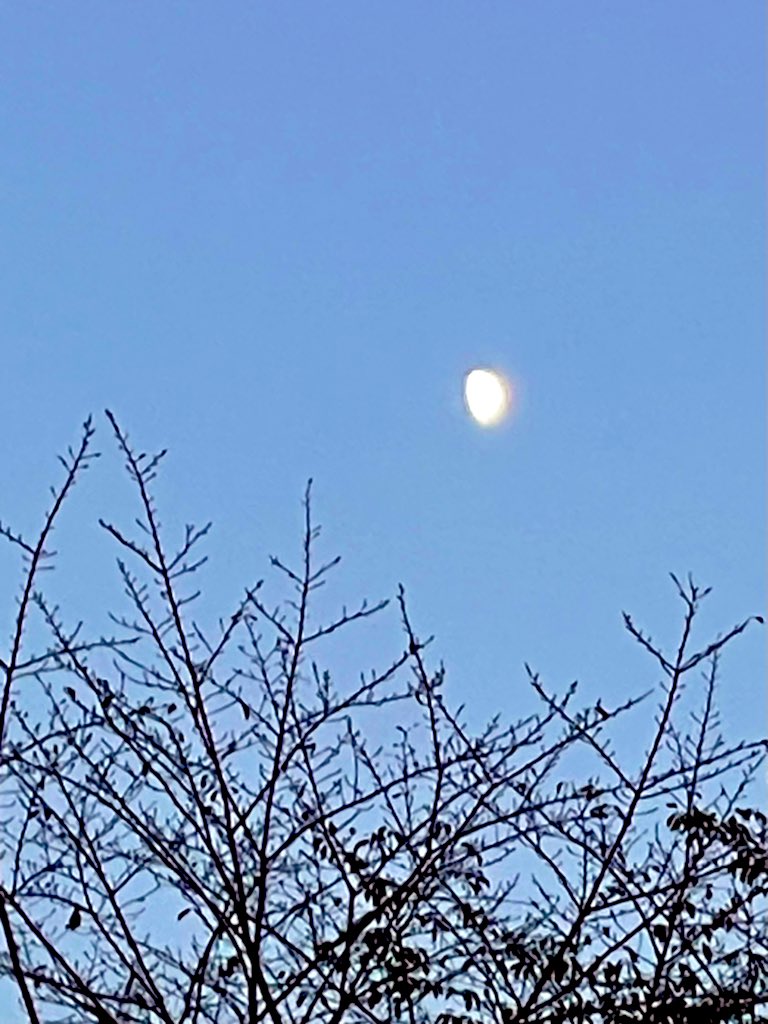 g11z6u's tweet photo. 🌳♬.*..。🌙*.。✩°
今日はどんな一日だったの
なんてことない普通の出来事
そんな
君の話を聞かせてよ
退社時刻の
夕焼けが綺麗だった
久しぶりの隠れ家Cafeは
キッチンからリズミカルな音がして
樂しげだったよ(笑)
🎶( *´艸`)♪♬.*゚
#Bakedcake #TiMi https://t.co/pESjleqsmH