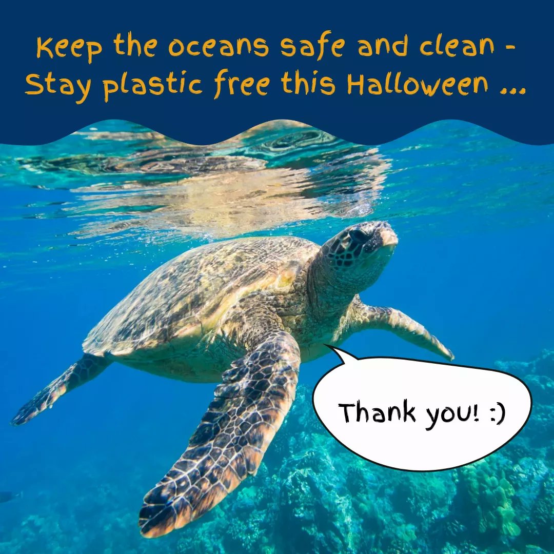 Gloria Barnett tweet media