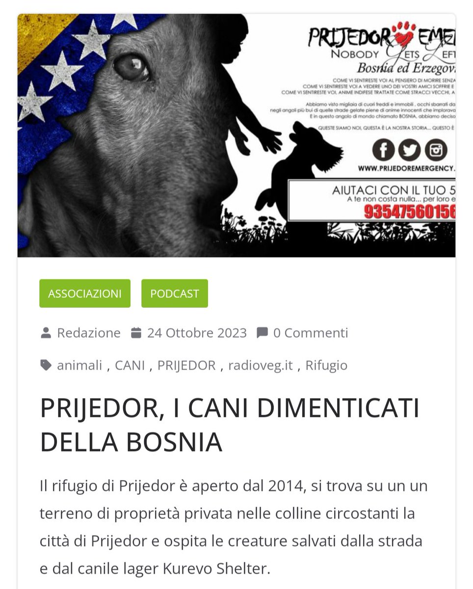 Nuovo articolo per voi.
Da leggere e condividere: radioveg.it