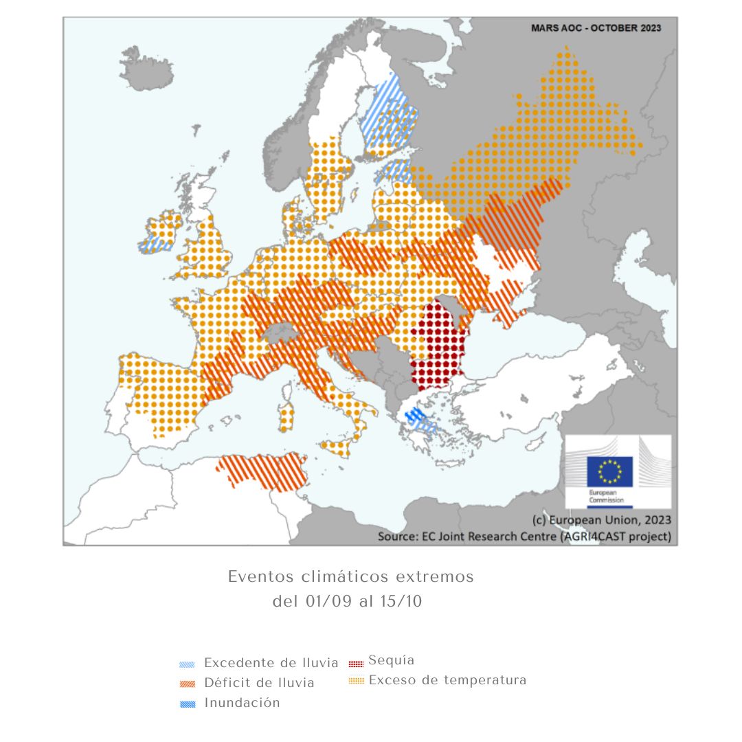 KamutApp's tweet photo. Como ha influenciado el clima en los rendimientos de los cultivos Europeos en los primeros días del otoño.

https://t.co/qmauAGnVxV

#cultivos #maiz #girasol #lluvia #calor #inundaciones #sequía https://t.co/YQFToMayWg