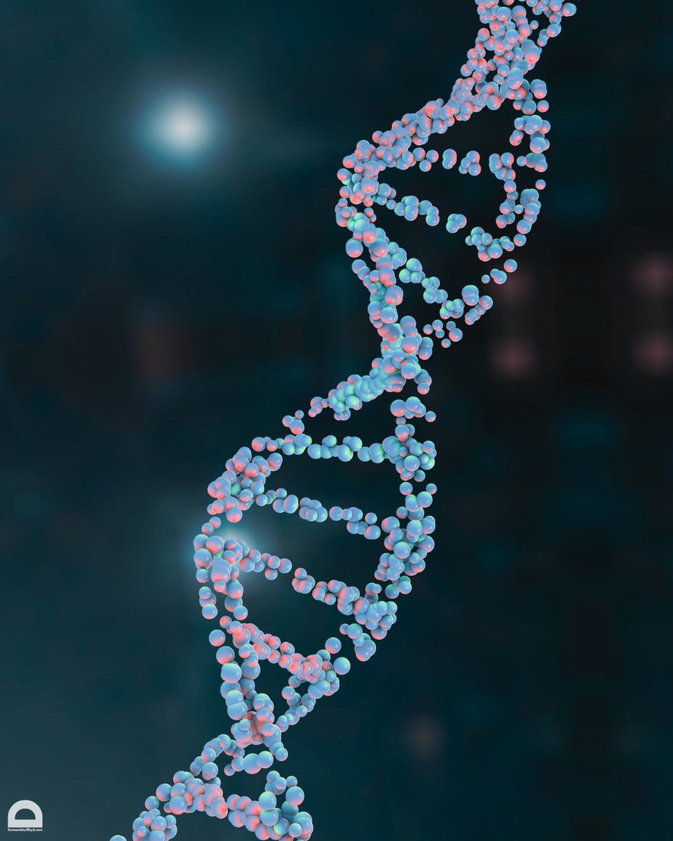 DsFactsandstuff's tweet photo. Genetic Clocks in Forensics: DNA analysis can determine time of death by analyzing postmortem changes in gene expression.

#genetics #DNA #Biology https://t.co/RN3IyHvLEB
