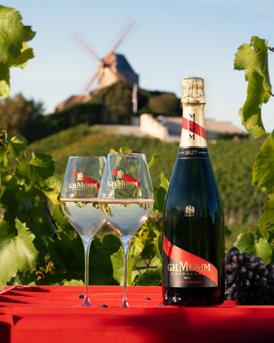 Lively and elegant, Mumm Cordon Rouge is a beautiful expression of the Champagne terroir and the House's signature cuvée.​

#Mumm #Champagne #ChampagneMoments #ChampagneLover #Celebrate #SavoirFaire #Winemaking #PinotNoir #MummCordonRouge​

PLEASE DRINK RESPONSIBLY