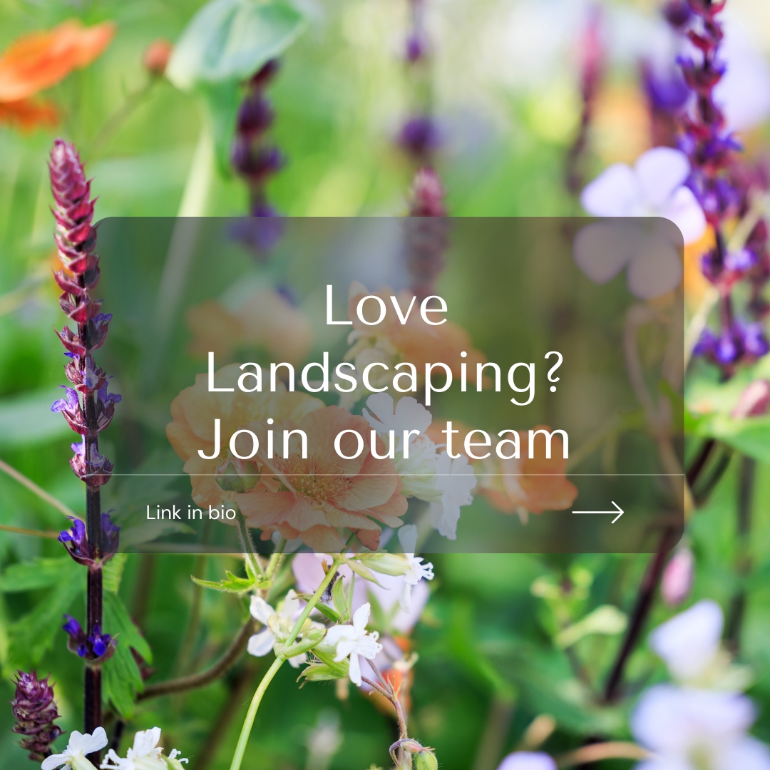 Are you looking for a Senior Estimating role? Or a Maintenance Gardener looking to join our award-winning team?
Visit our site for details: bit.ly/3SdP4kg

#landscaping #landscapers #jobs #JobOpportunities #LandscapingJobs #GardeningJobs #JoinOurTeam #NewJob