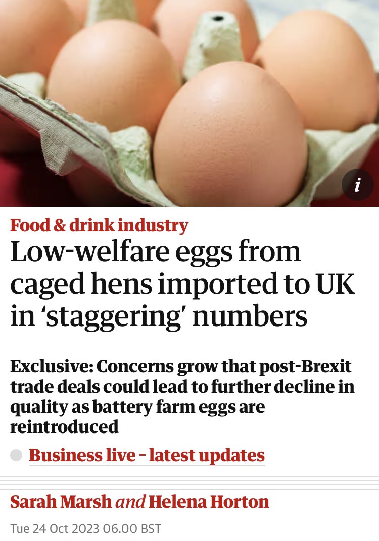 Low-welfare eggs flooding into 🇬🇧 

#Brexit will see even more imported.

😯 B’tween 2021 &amp; Aug 2023 egg imports from Poland rose by 2,000%, from 46 consignments to 1,095. 

😯 Italian imports also 🆙 by almost 300% 2022 - 2023 from 72 consignments to 279
theguardian.com/business/2023/…