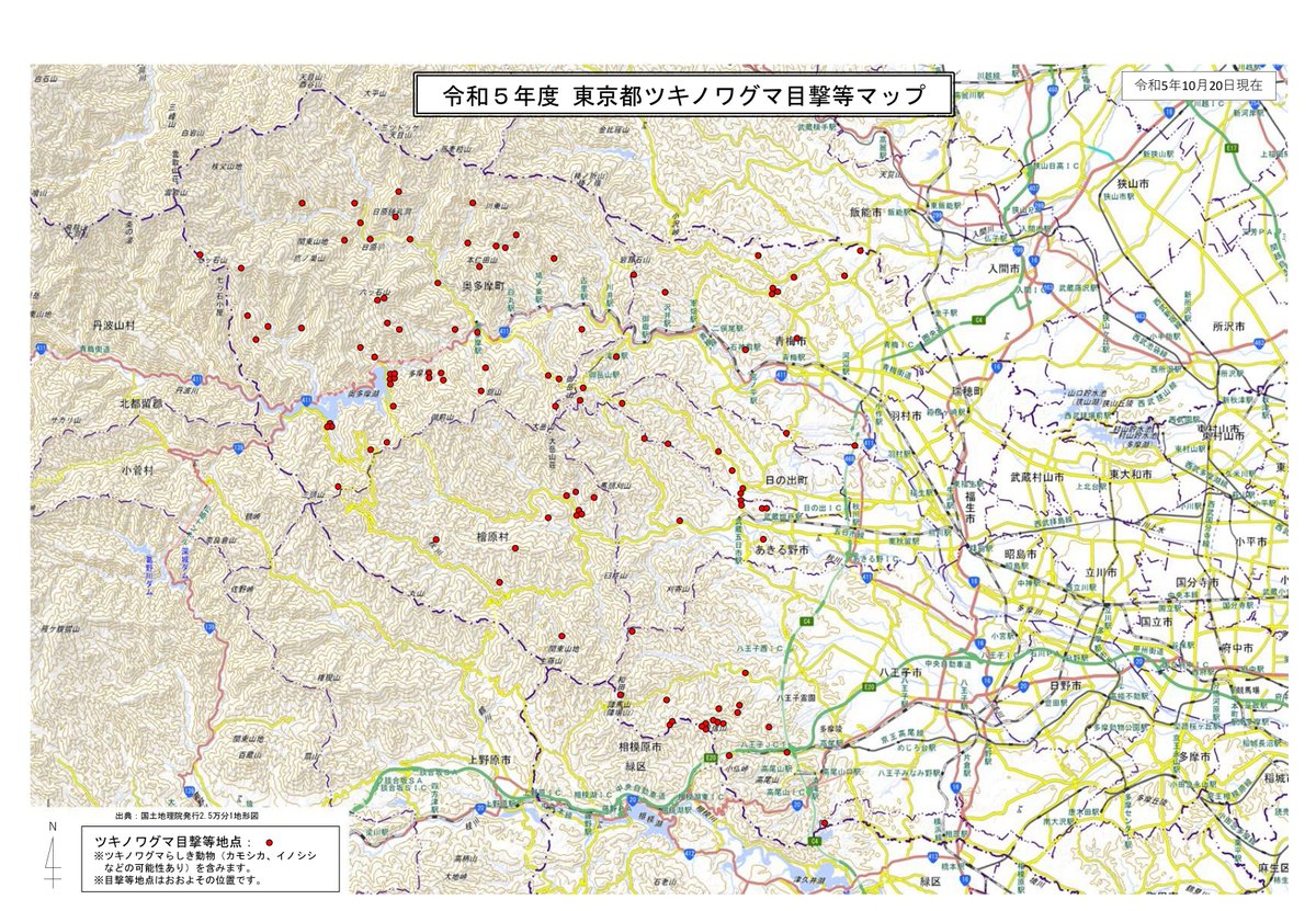ボブ軍曹＠『おちこぼれフルーツタルト』応援中！ tweet media