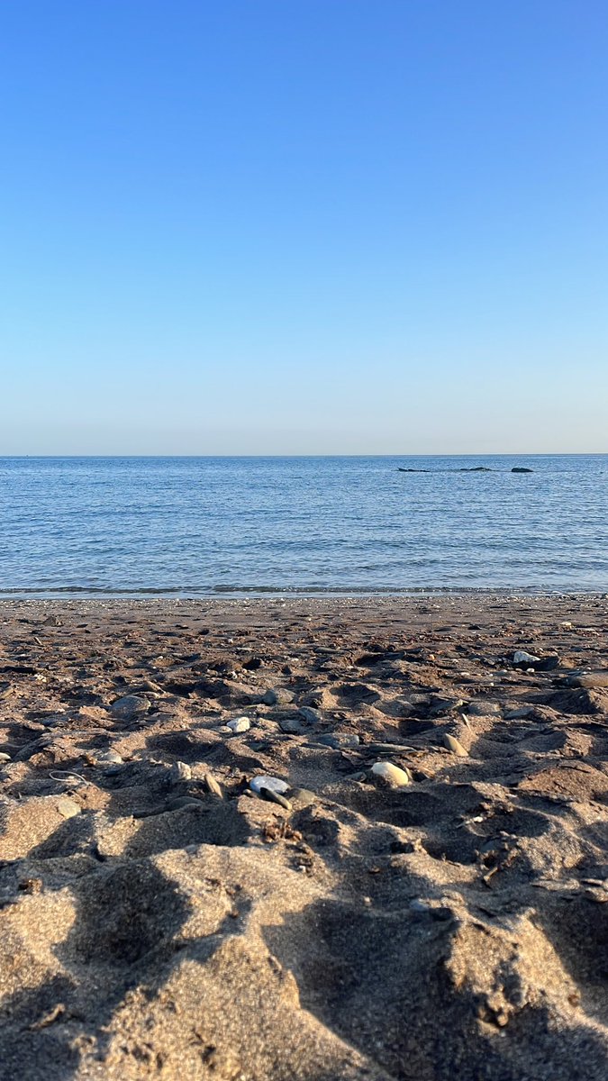 peccatto's tweet photo. Yo cumplo y #cuidomijas y con esta foto presumo de mi ciudad en este caso de sus playas… https://t.co/bAcvsQVmD6