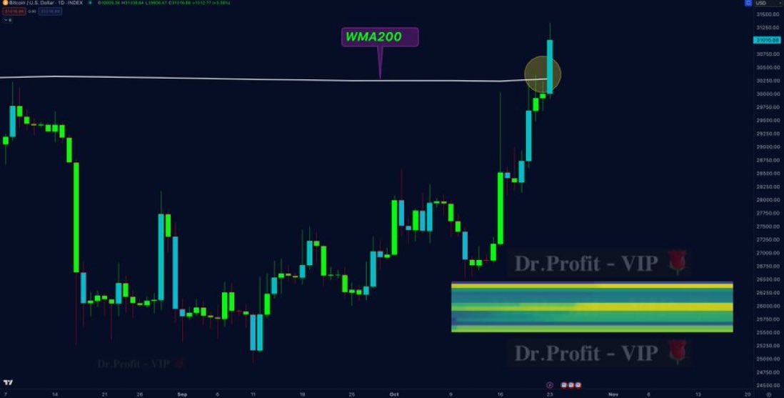 HaldermanCrypt0's tweet photo. While people become insanely bullish right here at high resistance zone between #BTC  30-31k, a huge liquidity pool is forming in the region of 25-26k

Monthly close above WMA200 and bulls have a reason to celebrate

30-31k remains resistance until proven otherwise https://t.co/wImam4COQ5