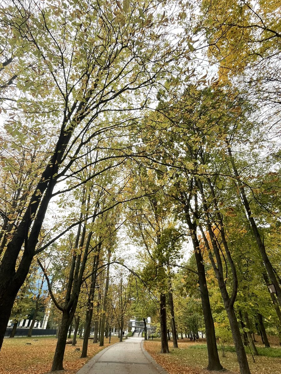 Hi Friends, hope you’re having fun Pic: Autumn colors #Warsaw Clicked 15Oct’23 #AutumnVibes #tuesdayvibe #Poland