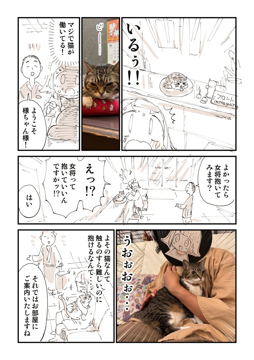 猫が働いてるわけないじゃんね? 2/2 #PR  お宿のリンクはこちらです https://too.fun/book?pr=L2LSmqNGqfV33Xy2QTzpLBF9q7S2&ca=J71130&ifl=93VNM87JxaSszscSE24eetWOV9p1&lang=ja