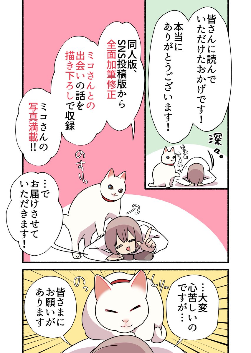 #愛されたがりの白猫ミコさん (2/2)