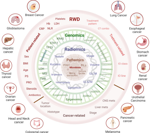 Artificial intelligence as a tool to identify predictive biomarker in immuno-oncology: 
this systematic review by <a href="/PrelajArsela/">arsela prelaj</a> and coll. in Annals of Oncology  encompasses genomics, radiomics, pathomics, real-world and multimodal data annalsofoncology.org/article/S0923-…