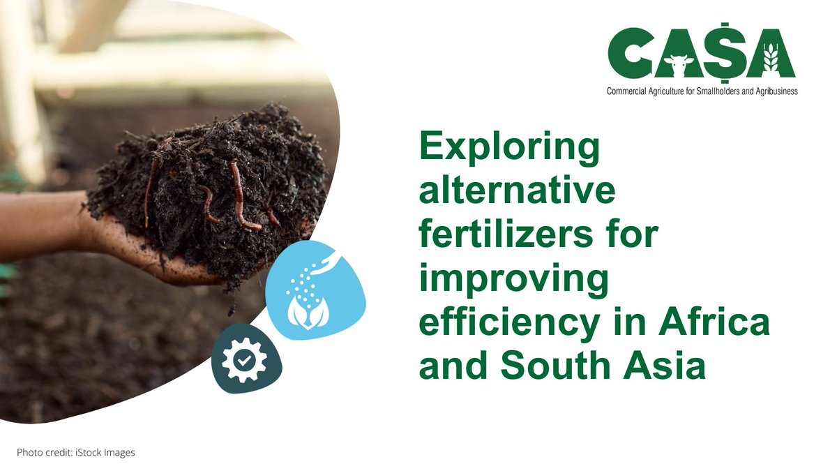 CasaProgramme's tweet image. CASA shares its findings on three innovative fertilizer alternatives: Green ammonia, organic fertilizers, and biological products. Ahead of the Africa Fertilizer and Soil Health (AFSH) Summit in Nairobi.
Click here: ow.ly/ZLvV50Q00yL