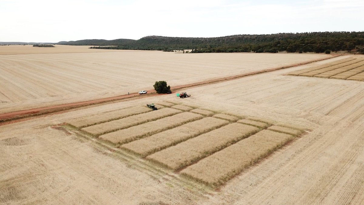 Barry Haskins tweet media
