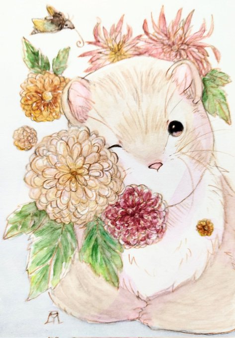 「hamster mouse」 illustration images(Latest)