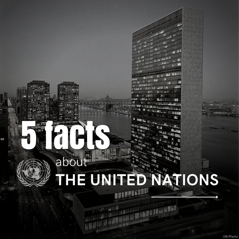 UN's tweet photo. The Charter of the United Nations entered into force 78 years ago.

On #UNDay, scroll through for facts about the history of the UN and our efforts around the globe.