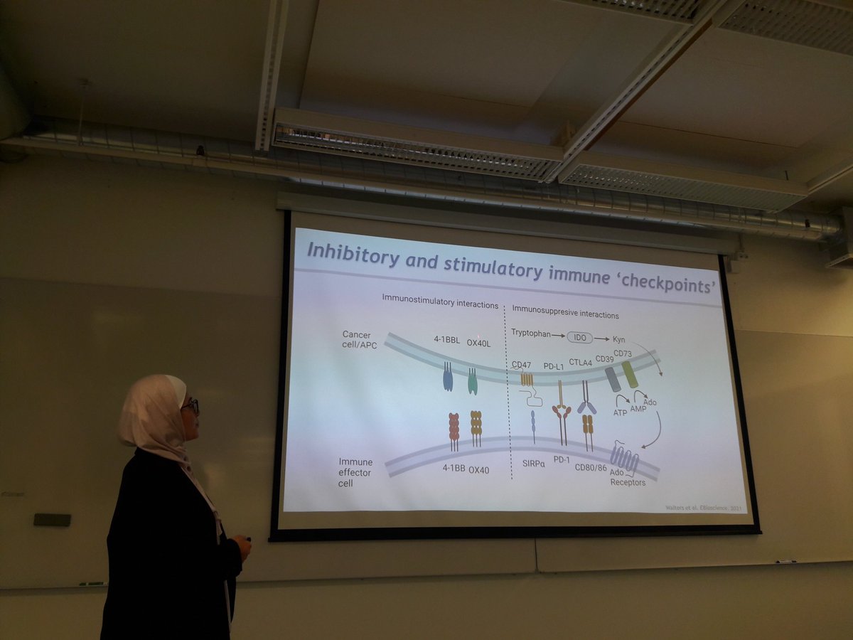 Great start of the school of nanomedicine and cancer immunotherapy  in Turku this morning, organized in the frame of the Eu Melomanes project. Many interesting talks! 😊