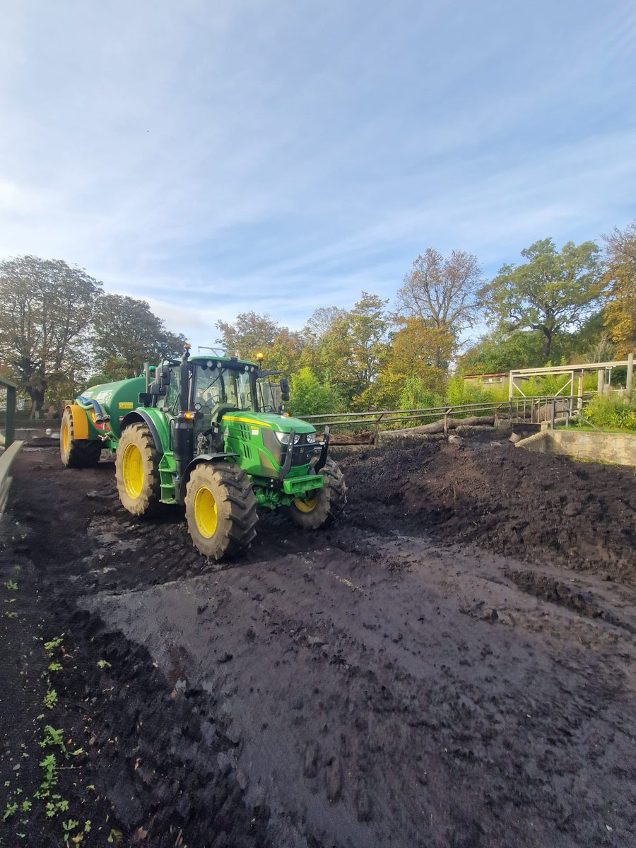 Buckhurst Plant Hire tweet media