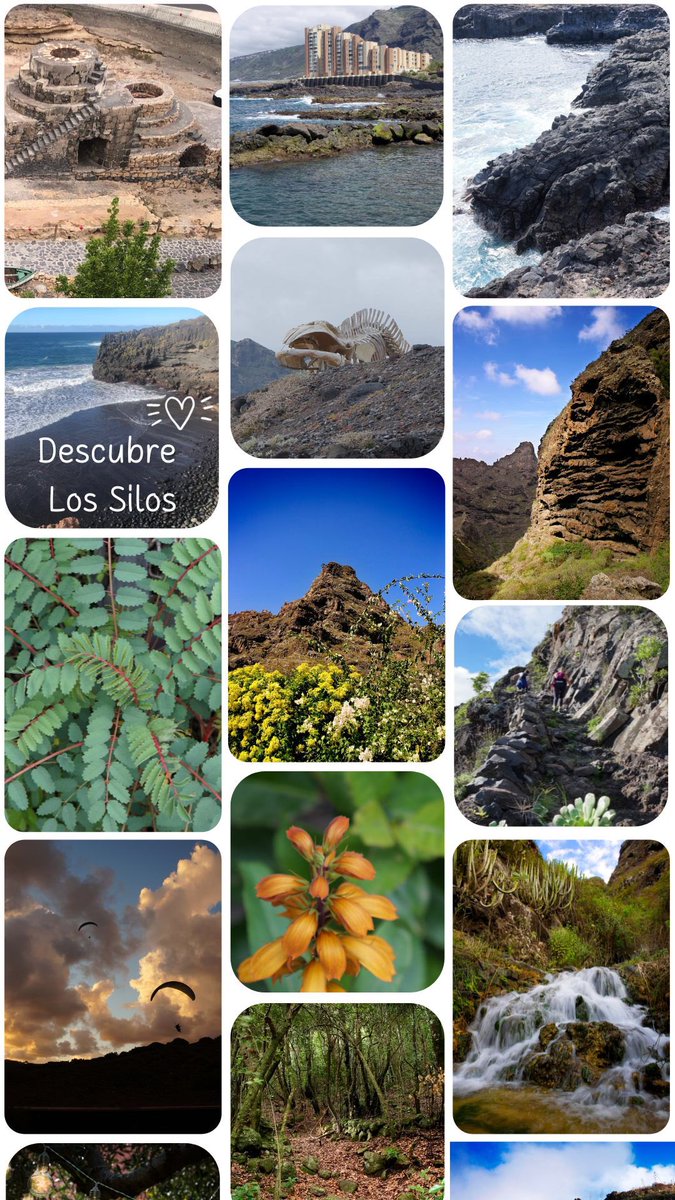 Descubre Los Silos 😍 #lossilos #islabaja #tenerife #islascanarias🇮🇨 #canaryislands #visittenerife #tenerifeawakensemotions