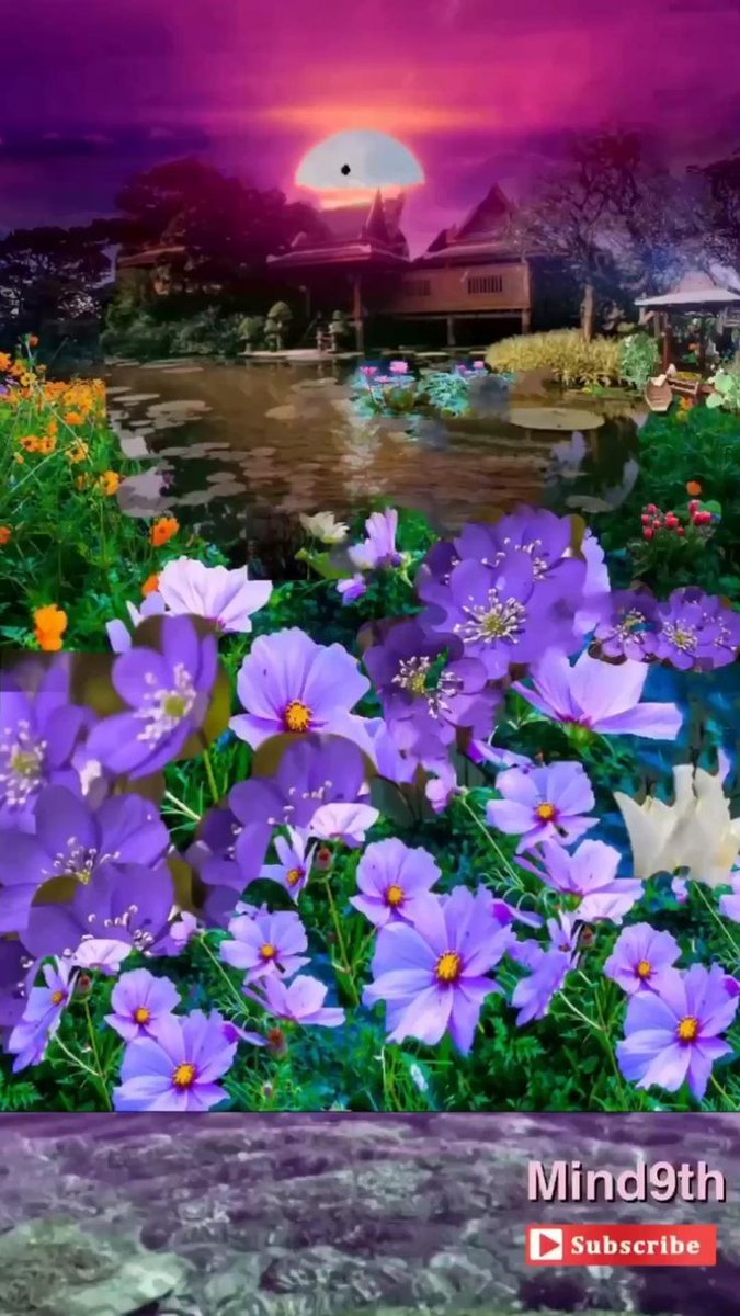 <a href="/lamialamlouma3/">lamiasoltani</a>