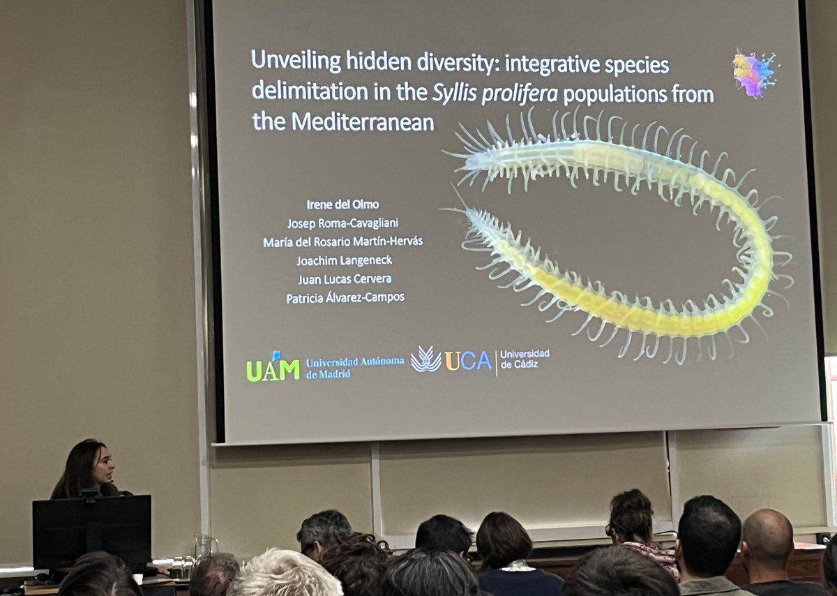 Aida Verdes (@aida_verdes) on Twitter photo The second session of #CISA23 has just started. Now up is <a href="/irenedolmo/">Irene del Olmo</a> speaking about species delimitation in marine annelids 🌊 🪱 🧬 <a href="/PatrialvarezCam/">Patri Álvarez-Campos</a> The second session of #CISA23 has just started. Now up is <a href="/irenedolmo/">Irene del Olmo</a> speaking about species delimitation in marine annelids 🌊 🪱 🧬 <a href="/PatrialvarezCam/">Patri Álvarez-Campos</a>