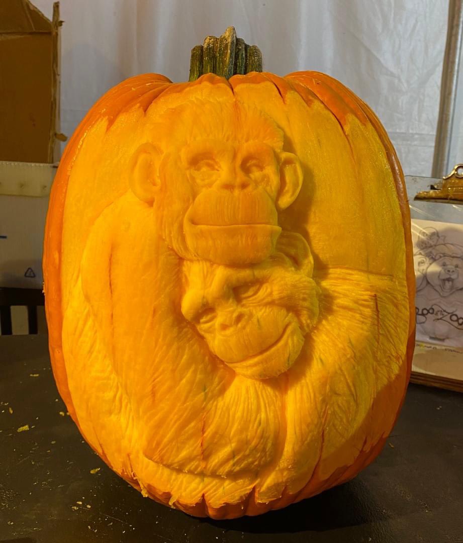 goapefoundation's tweet photo. Pumpkin Art by Pumpkin Sculpt USA 🙌 https://t.co/BvxmcytyjK