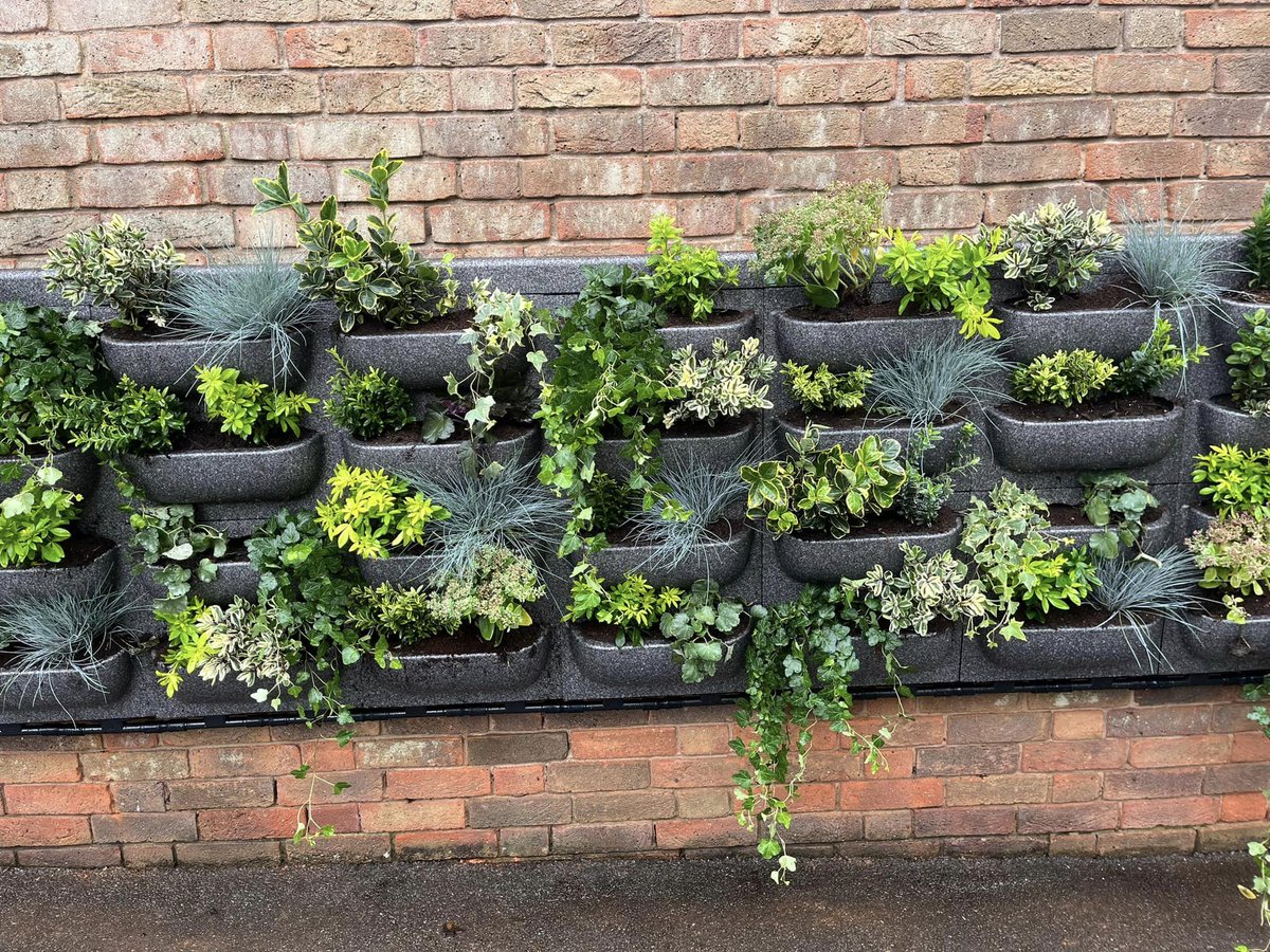 Our new 'living wall' has now been installed at the front of our school. A massive thank you to last year's Year 6 cohort for raising money towards this, as well as local firm MPA Financial Management in Henley-in-Arden for further sponsorship. @HenleyinArden   @AFCoE_MAT