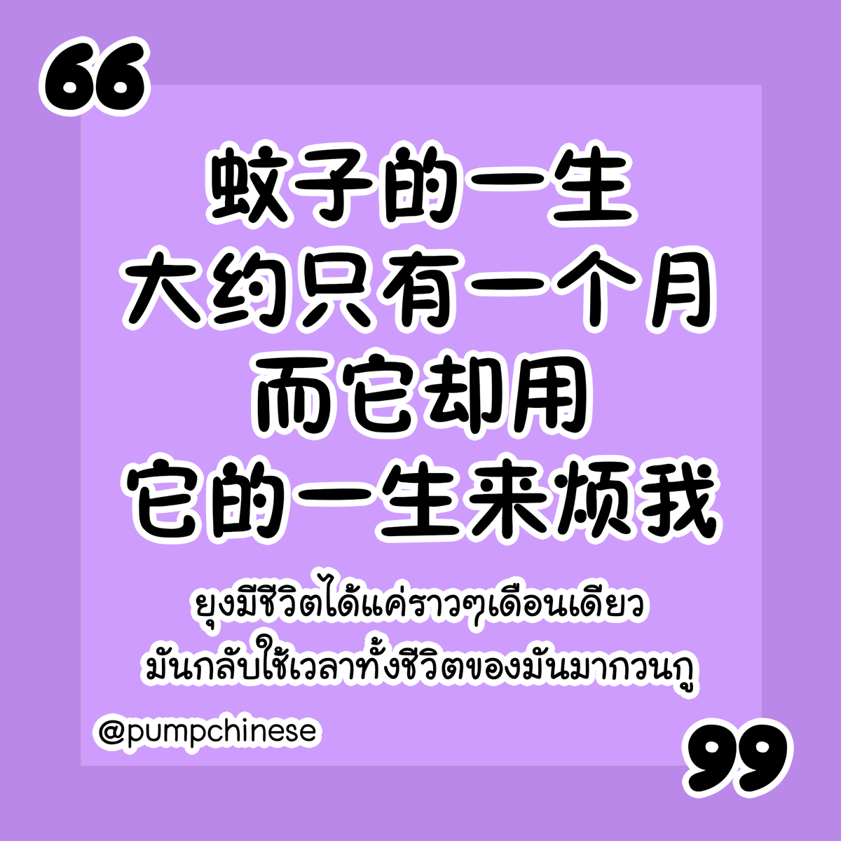 pumpchinese's tweet photo. 蚊子的一生大约只有一个月，而它却用它的一生来烦我。
Wénzi de yìshēng dàyuē zhǐyǒu yíge yuè, ér tā què yòng tā de yìshēng lái fán wǒ.
ยุงมีชีวิตได้แค่ราวๆเดือนเดียว มันกลับใช้เวลาทั้งชีวิตของมันมากวนกู

1st CLASS MANDARIN ONLINE เทอมใหม่ คลาสเน้นฟัง-พูด
เรียน 10 ครั้ง 20 ช.ม. 3,900฿ ลุยกันทุกเสาร์ เลือกได้ 2 ระดับ เหลือไม่เกิน 2 ที่/คลาส

#เสาร์เช้า 10:00-12:00 | HSK3-4
#เสาร์บ่าย 12:45-14:45 | HSK4
เริ่ม 2 ธ.ค. ถึง 9 มี.ค. (มีหยุดทุกช่วงวันหยุดนักขัตฤกษ์)
คลาส online เรียนผ่าน Google Meet
วันไหนไม่ว่างโดดได้จ้า มีคลิปเสียงไว้ฟังย้อน หรือฟังทวนได้ทุกคลาส
สนใจทักมาเลย

加油 on IG https://t.co/j98eA86lxT || LINE https://t.co/mIvoAaONCu
#中文 #汉语 #ภาษาจีน #เรียนจีน