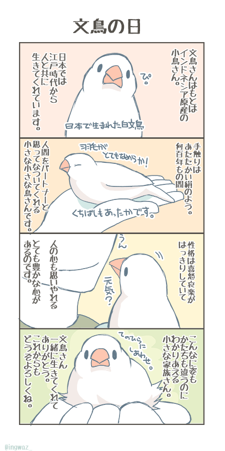 再掲ですが文鳥の日の文鳥さんまんが。 文鳥さんって、こんな鳥さんです。  #文鳥の日 #文鳥の日2023 #手にしあわせ
