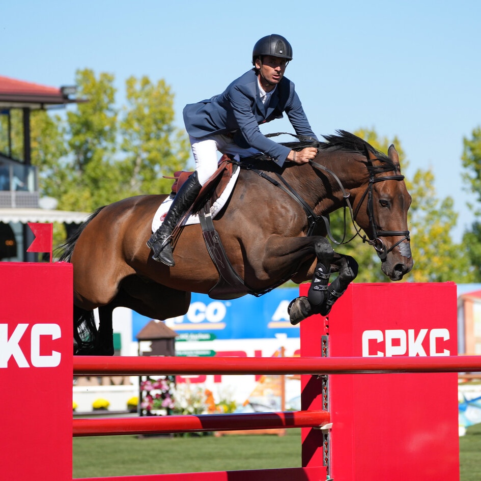 Steve Guerdat tweet media