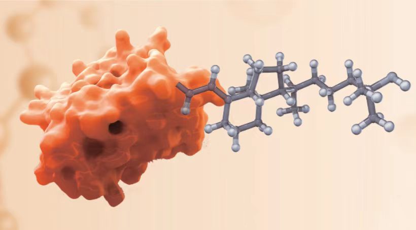 BiotechCho14599's tweet image. Drug repurposing can save a lot of time and resources, and significantly accelerate the drug development process.
Chemical proteomics is at the forefront of drug repurposing. To learn more: chomixbio.com

#drugdiscovery #targetdiscovery #biotech #chemoproteomics