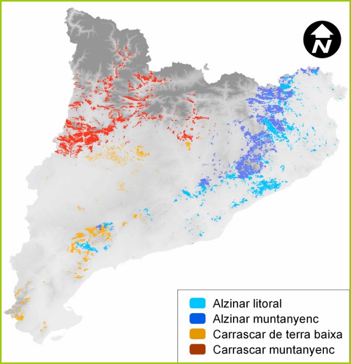 mslarrosa's tweet photo. També conec els mapes de distribució per espècie dels models ORGEST, però els mapes no tenen bona resolució i m'agradaria poder visualitzar totes les espècies en una mateixa capa en format vectorial. Un ràster ja seria increïble. Merciii 🌳🫶🏻✨ https://t.co/8aaWnShbj5