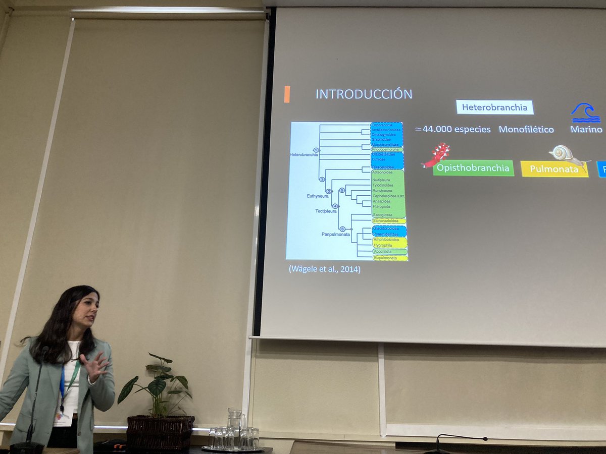 anariesgogil's tweet photo. Marina Monte has given an amazing talk on the biodiversity and systematics on Heterobranchia using mitogenomics at #CISA2023 @mncn_csic https://t.co/5Tr50wnnY7