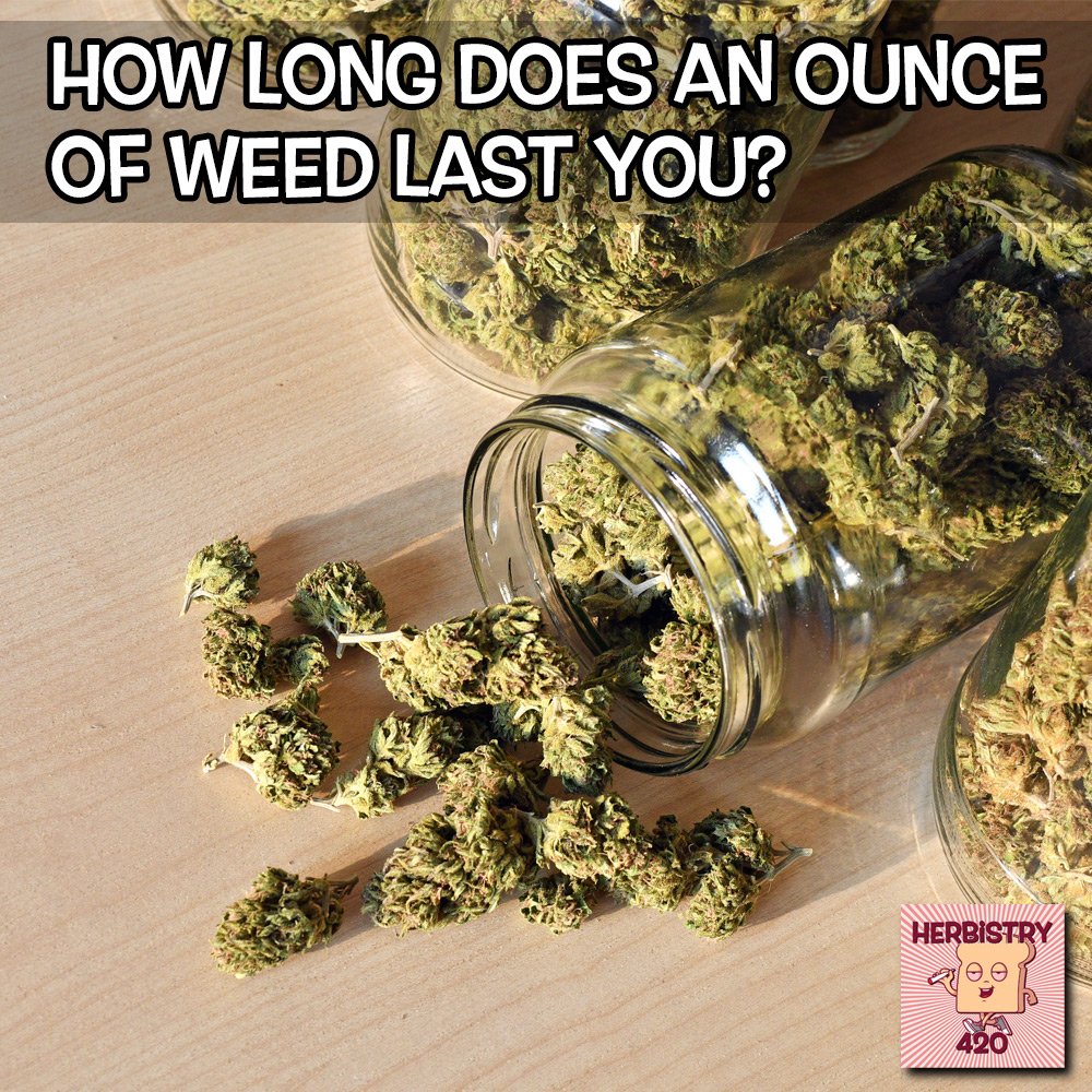 How long does it last you? 🤔
.
#howlongdoesitlast #wheredaweedat #weedhumor #weedhumor420 #weedgram #stonermemes #kusharmy #weedculture #weedlife #smokeup