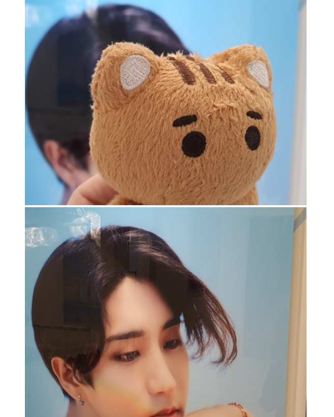 #폭신폭신_한냥이