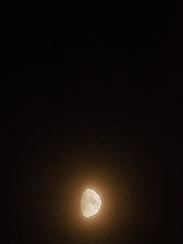 南の空で、土星と月のランデブー。
明日は離れてしまうので、今夜の出来事と紐づいた”人生の栞”になりますように。