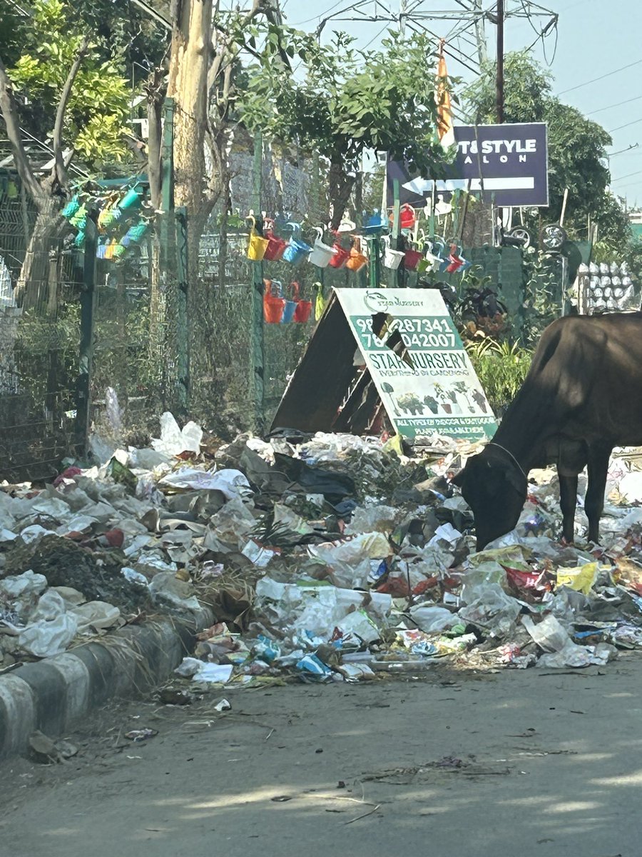 When will people in Gurgaon wake up to a Swachh Gurgaon? When will these basics of waste collection get solved? Is it something so complicated that it can’t be solved for months altogether? City is drowning in waste and citizens are suffering daily. Pics location - sector…