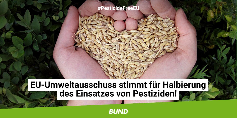 Wichtiger Meilenstein auf dem Weg hin zu #PesticideFreeEU: EU-Umweltausschuss stimmt für verbindliche Halbierung des Einsatzes von #Pestiziden. 🎉 Plenum muss noch Lücken bei Risikoindikator &amp; Finanzierung schließen. Großer Dank an alle im Ausschuss, die dazu beigetragen haben.💚