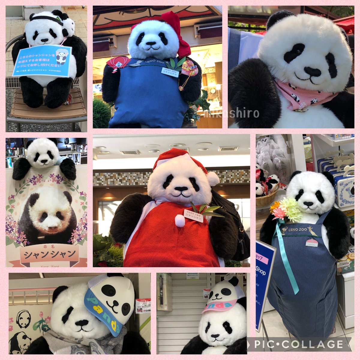 シャン店長復帰切望‼️ いつも私たちを笑顔で迎えてくれる💕時には出張